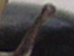 räz 017.jpg
