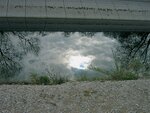IMG_0646.jpg