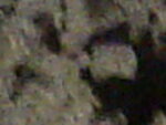 räzel 013.jpg