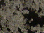 räzel 014.jpg