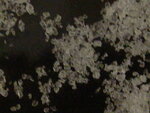 räzel 012.jpg