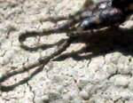 IMG_0004-2.JPG