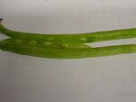 rätzel 006.jpg