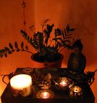IMG_0005-1.jpg