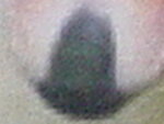 rätzel 022.jpg