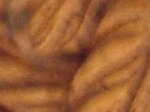 DSC02007.JPG1.jpg