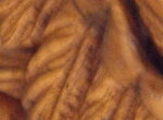 DSC02007.JPG2.jpg