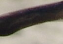 DSC02023.JPG1.jpg