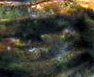 IMG_0012-3.JPG