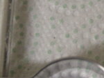 rätzel1 020.jpg