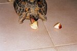 011_8.jpg