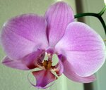 IMG_0050.jpg