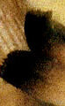 004_1.JPG1.jpg