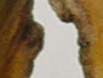 rätzel2 005.jpg