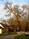 IMG_0730.jpg