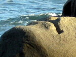 IMG_0277-1.JPG