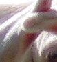 IMG_0031-1.JPG