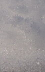 DSC09746 18.jpg