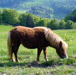 Bild 025-1.jpg