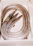 Rätsel12345.JPG