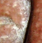 IMG_0034-1.JPG