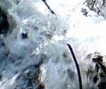 Bild 001-2.jpg