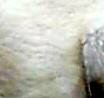 DSC00162-1.JPG