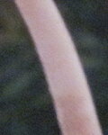 Bild 158.jpg1.jpg
