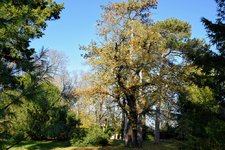 DSC_0181.JPG DSC_0181.JPG