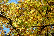 DSC_0135.JPG DSC_0135.JPG
