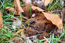 DSC_0139.JPG DSC_0139.JPG