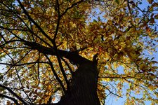 DSC_0176.JPG DSC_0176.JPG