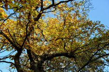 DSC_0136.JPG DSC_0136.JPG