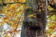 DSC_0146.JPG DSC_0146.JPG