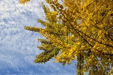 DSC_0046.JPG DSC_0046.JPG