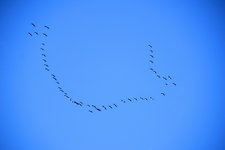 DSC_0056.JPG