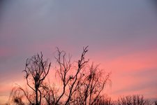 DSC_0017.JPG DSC_0017.JPG