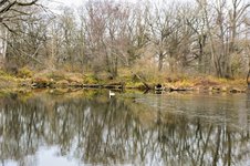 DSC_0139.JPG DSC_0139.JPG