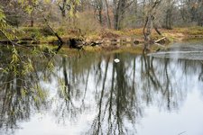 DSC_0143.JPG DSC_0143.JPG