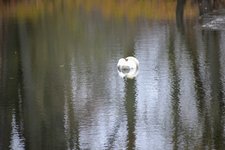 DSC_0147.JPG DSC_0147.JPG