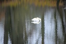 DSC_0145.JPG DSC_0145.JPG