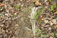 DSC_0135.JPG DSC_0135.JPG