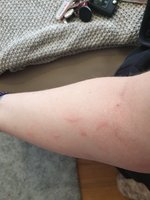 20201205_145412.jpg