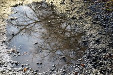 DSC_0114.JPG DSC_0114.JPG