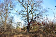 DSC_0045.JPG DSC_0045.JPG