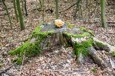 DSC_0052.JPG DSC_0052.JPG
