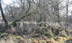 DSC_0060.JPG DSC_0060.JPG