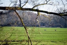 DSC_0064.JPG DSC_0064.JPG