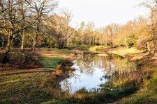 DSC_0107.JPG DSC_0107.JPG