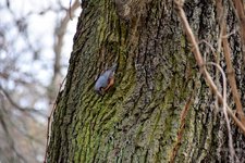 DSC_0153.JPG DSC_0153.JPG